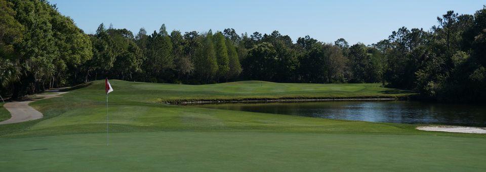 Rosedale Golf and Country Club - photo 7