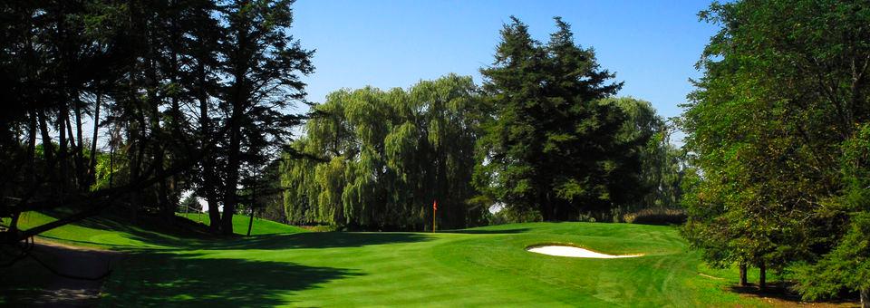 Cherry Downs - photo 5