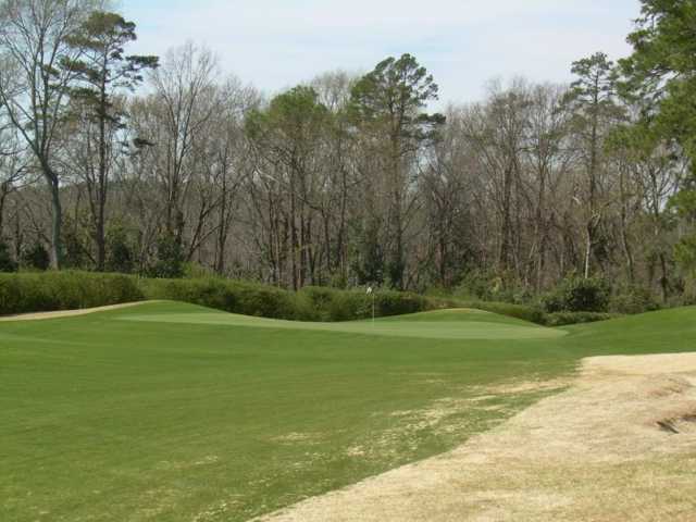 Palmetto