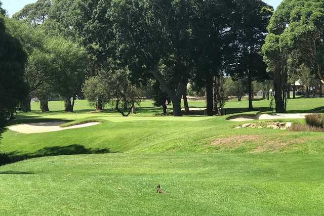 Balgowlah Golf Club - photo 6