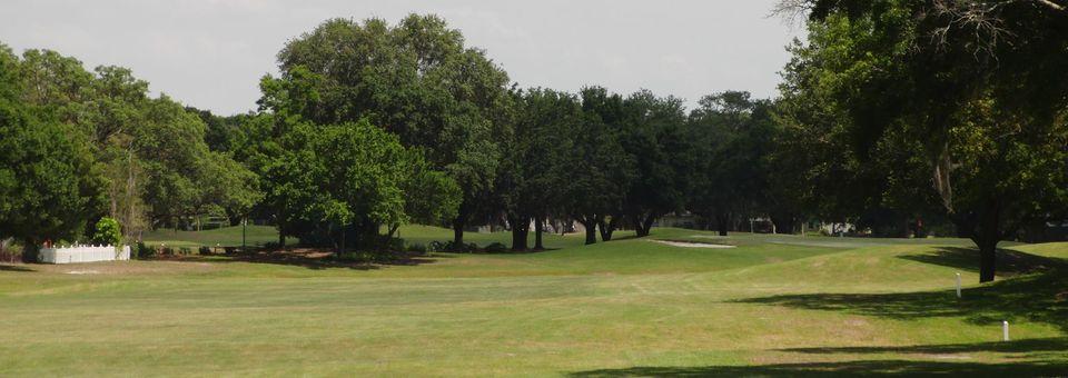 Babe Zaharias Golf Course Tampa - photo 6