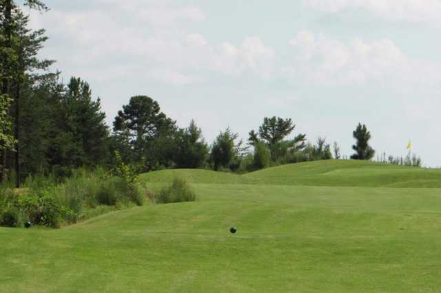 Fairways of Canton - photo 2