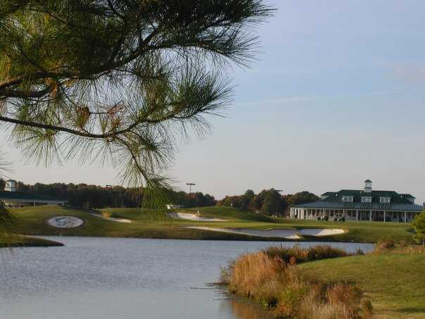 Cahoon Plantation - photo 4