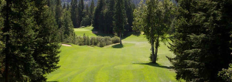 Salmon Arm Golf Club - photo 3