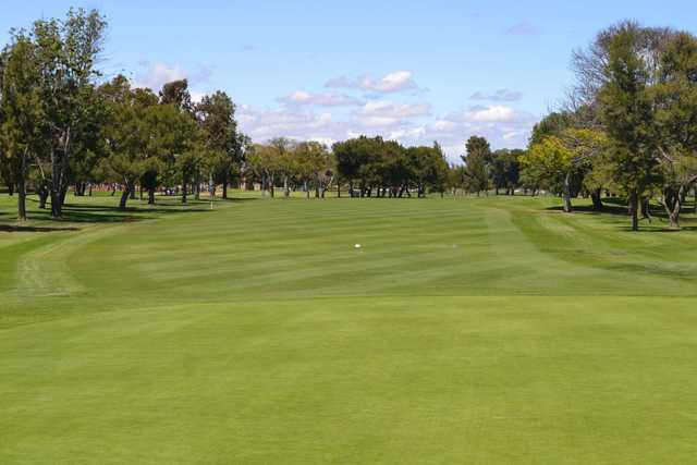 Mile Square Golf Course - photo 4