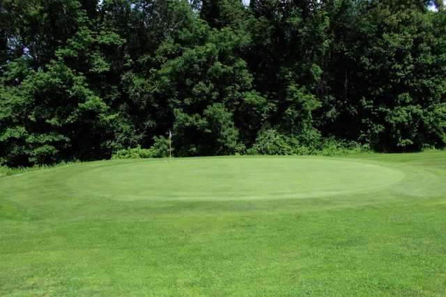Vineyard Valley Golf Club - photo 3