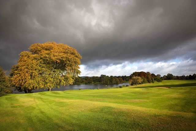 Malone Golf Club - photo 2