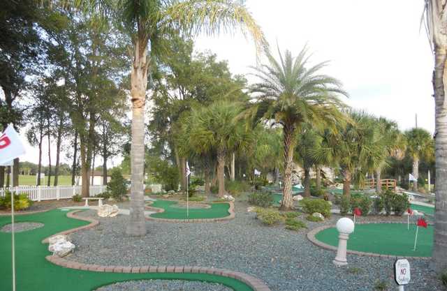 Tree Tops Golf and Driving Range - photo 4