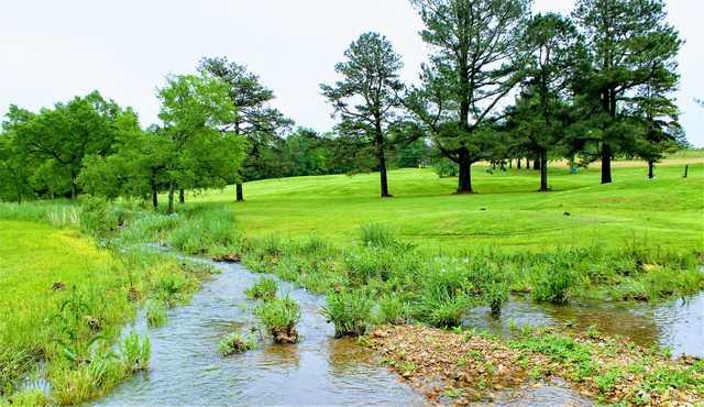 Sycamore Hills Country Club - photo 3