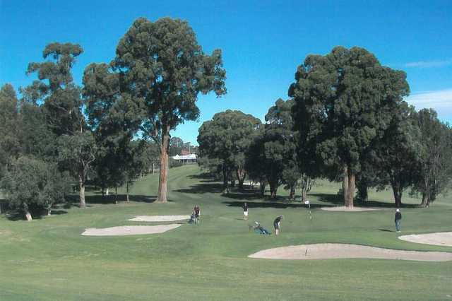 North Ryde Golf Club - photo 2