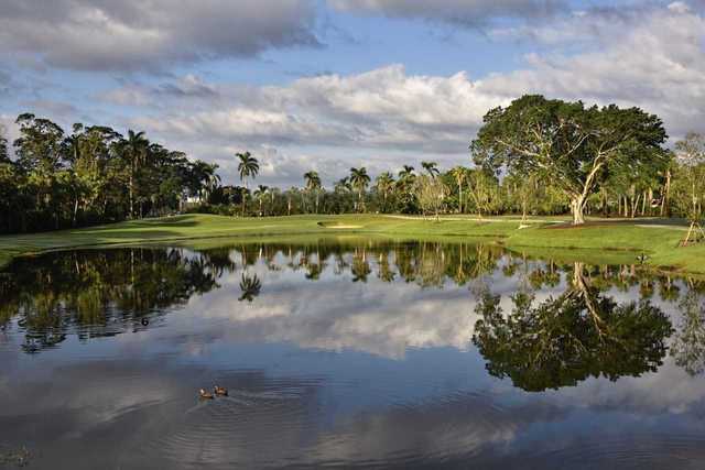 Dutchman's Pipe Golf Club - photo 3