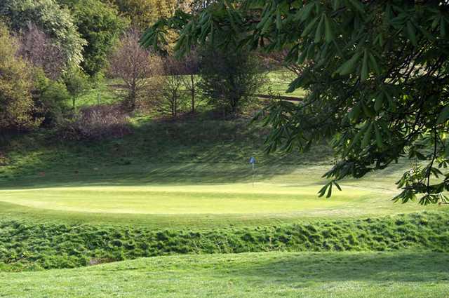 West Malling Golf Club - Spitfire - photo 4