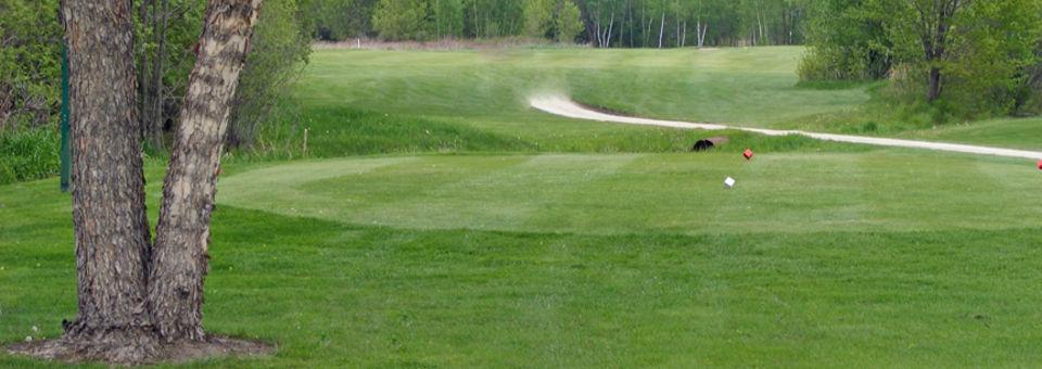 Falcon Ridge GC - photo 3