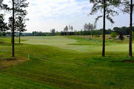 Regency At Dominion Valley Country Club - photo 4