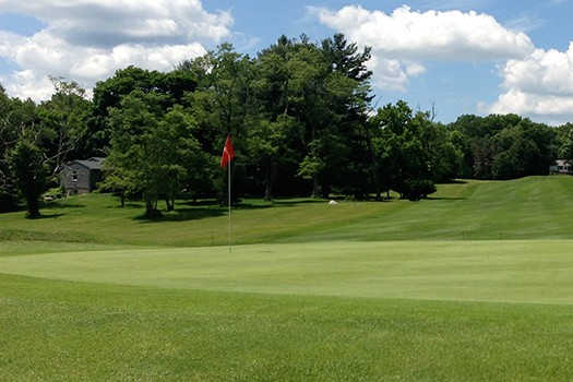 Rolling Greens Golf Course - photo 4