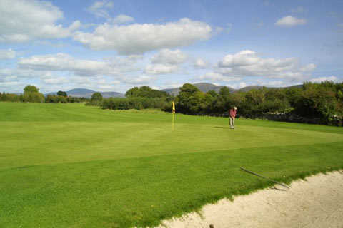 Carrigleade