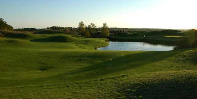 UGOLF Courson Black/Lilac Course - photo 4