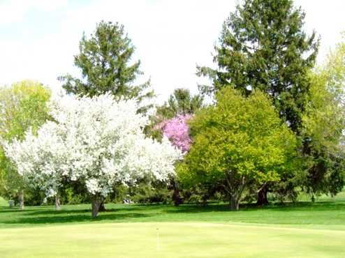 Snag Creek Golf Course - photo 2