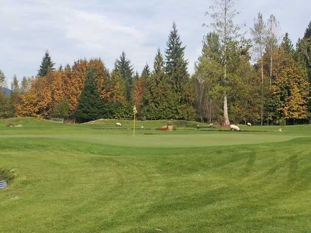 Heather Hills Golf Course - photo 1
