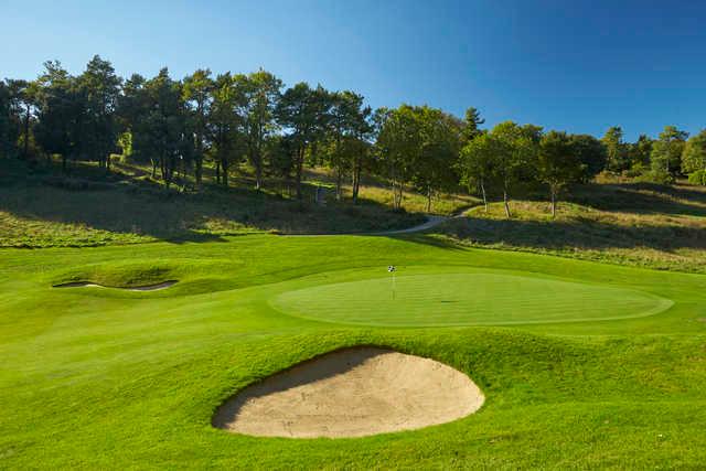 Golf at Goodwood - The Downs Course - photo 1