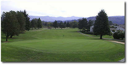 Emerald Valley Golf Course - photo 8