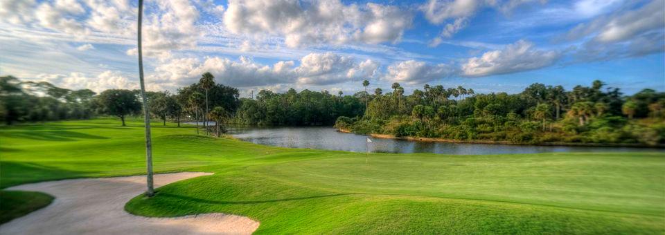 Palm Harbor Golf Club - photo 6