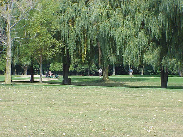Western Greens Golf Course - photo 3