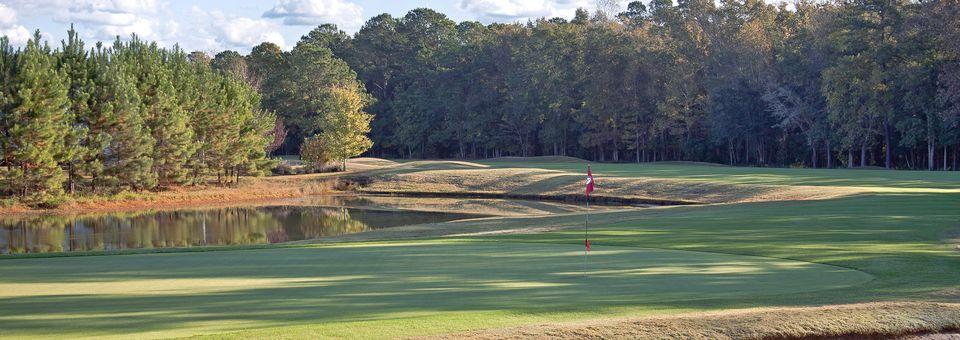 Island West Golf Club - photo 6