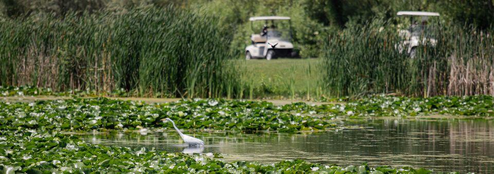 Glendale Lakes Golf Club - photo 7