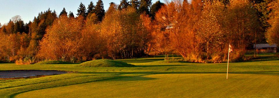 Birdies & Buckets Family Golf Centre - 9-Hole Course - photo 4