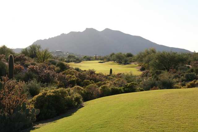 Desert Forest Golf Club