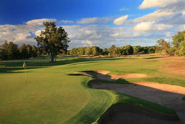 Glenelg Golf Club - photo 8