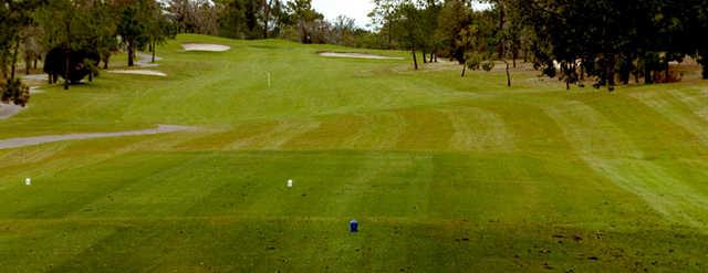 Spring Hill Golf and Country Club - photo 3