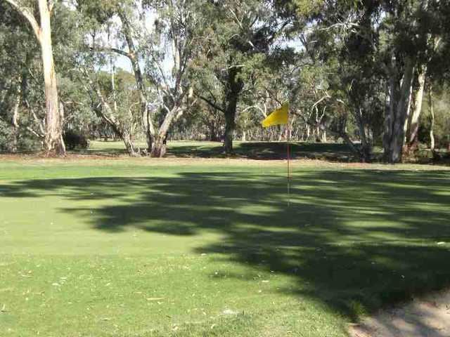 Bendigo Golf Club - photo 6
