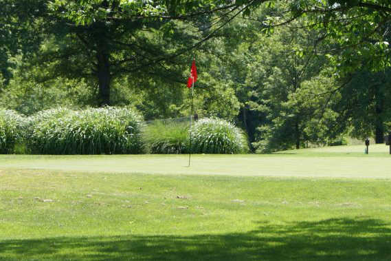 Quail Creek - photo 4