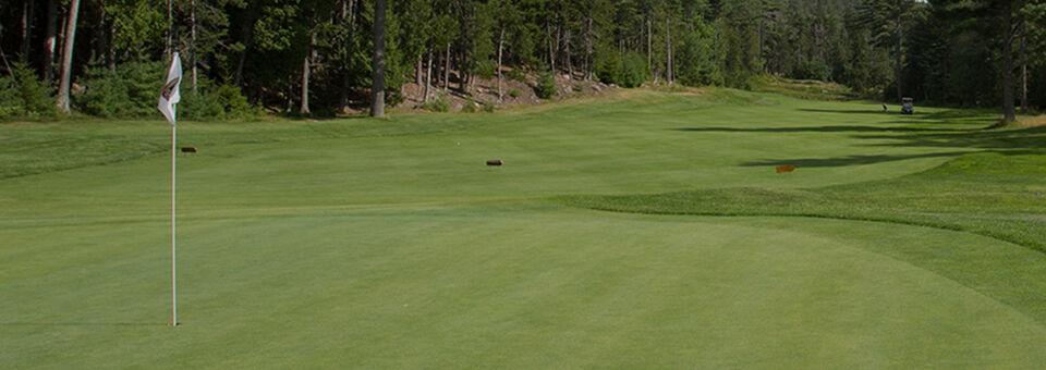 Northeast Harbor Golf Club - photo 5