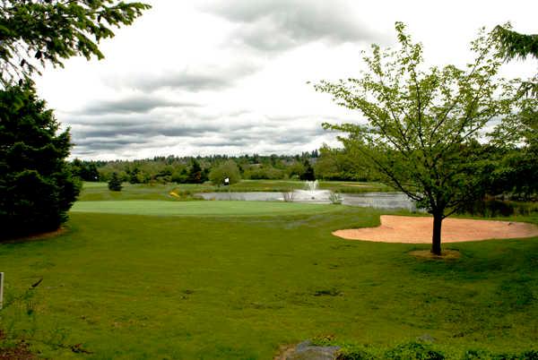 Willows Run - Heron Links Executive 9 - photo 3