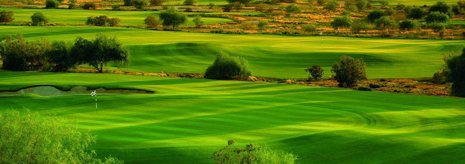 Talking Stick Golf Club - O'odham (North) - photo 6