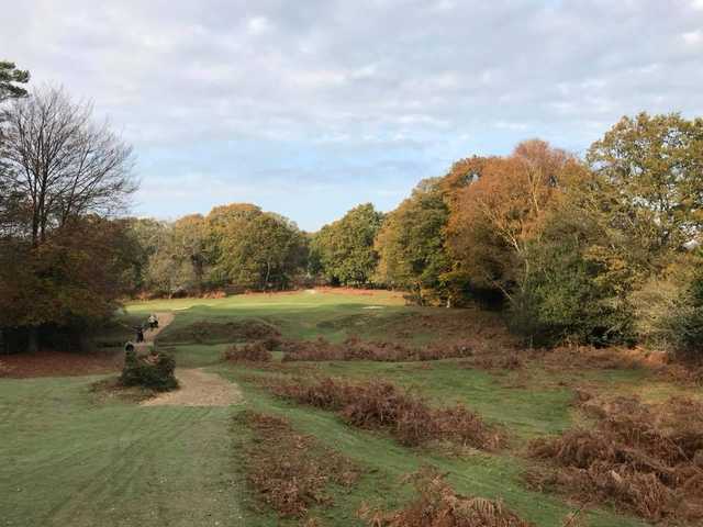 Bramshaw Golf Club - Forest Course - photo 3