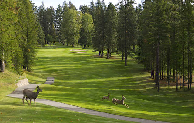 Kimberley Golf Club - photo 6