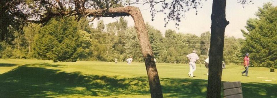 Bent Pine Golf Club - MI - photo 3