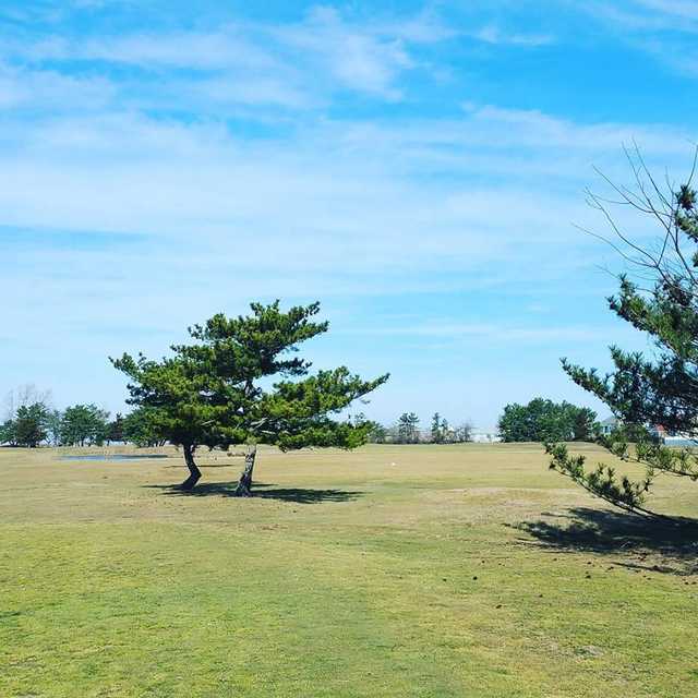 Brigantine Golf Links - photo 5