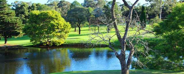 Cabramatta Golf Club - photo 6