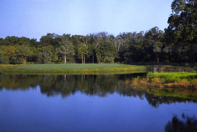 Tangle Oaks - photo 3