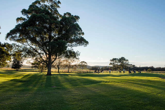 The Grange Golf Club - photo 3