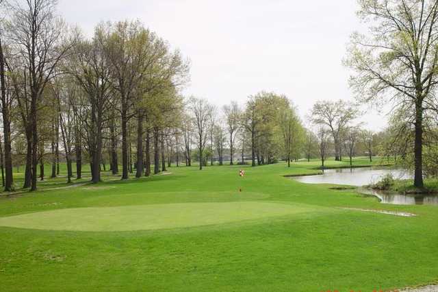 Eagle's Nest - photo 3