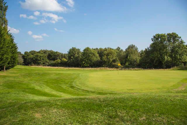 Bulbury Woods Golf Club - photo 5