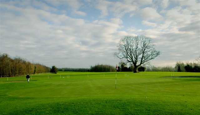 Elmgreen Golf Centre - photo 4