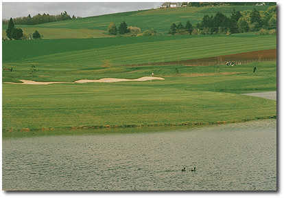 Quail Valley Golf Course - photo 3