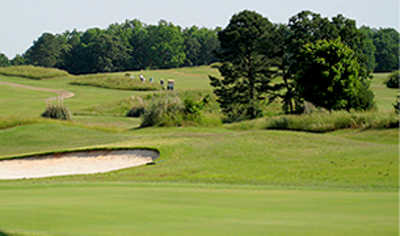The Fields Golf Club - photo 4